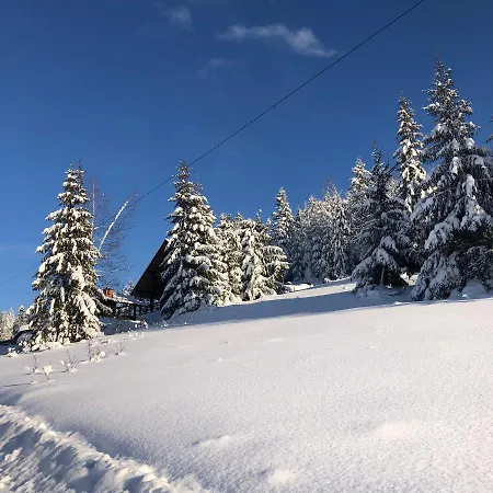 Cottages Shepit Lisu Rosokhach Экстерьер фото